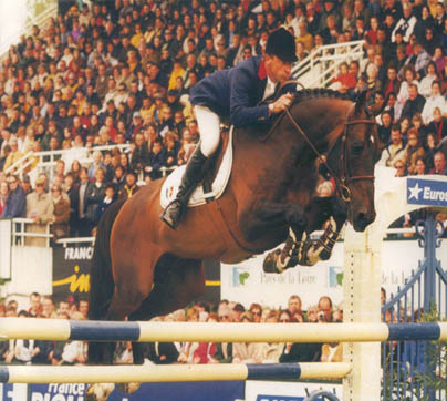 Kannan Showjumping Stallion